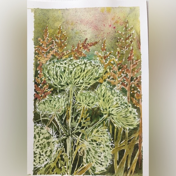 handmade Other - Watercolor painting “ wild carrot”